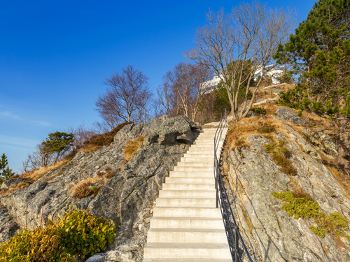 Alesund Hessa Viewpoint Tour Reservations