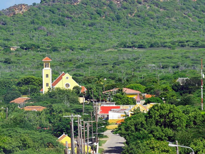 Bonaire Rincon Village and Cadushy Distillery Excursion with Local Guide