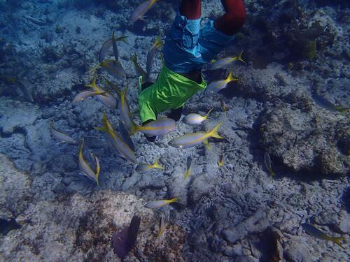 Grand Turk Grand Turk Cruise Excursion Booking